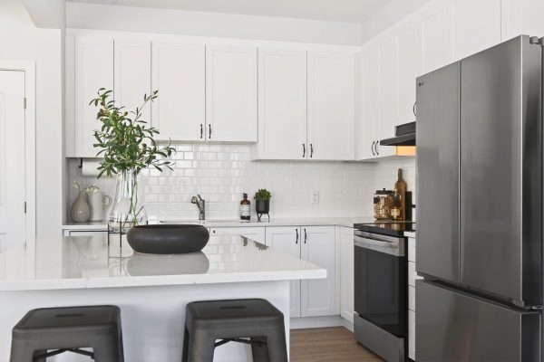 037_DSC03510 037_DSC03510