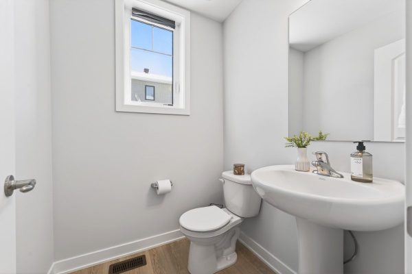 038_DSC03515 038_DSC03515