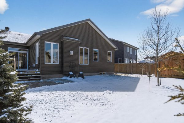 008_DSC09334 008_DSC09334